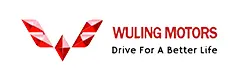 Logo Wuling bg white